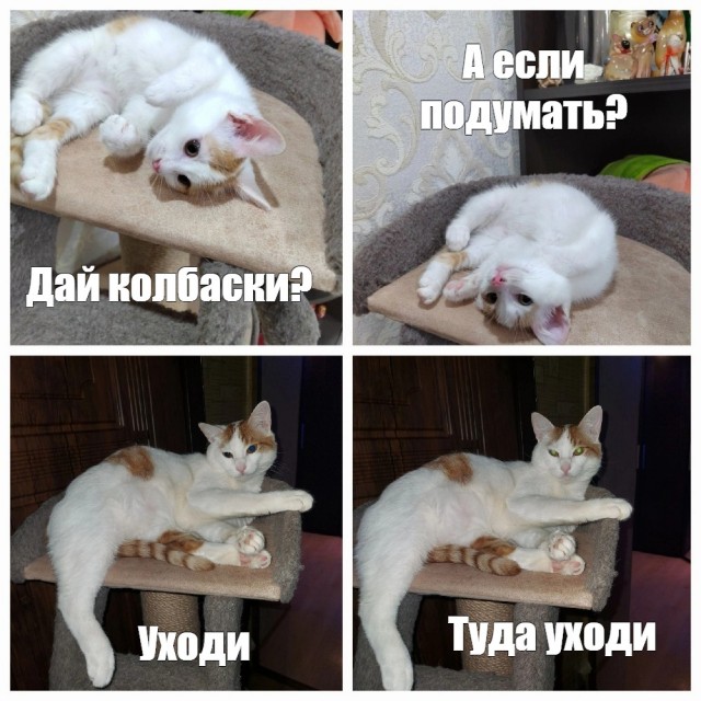 До и после