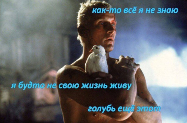 Народная меДИЧина 6006