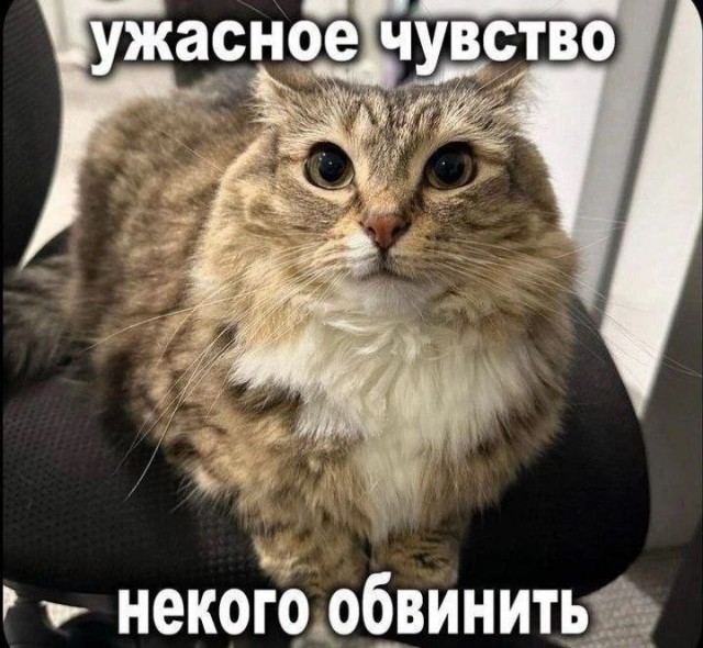 Всего понемногу. От 29.07