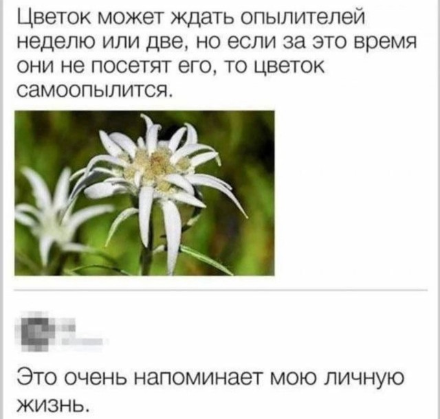 Так себе картинки 13.10.24