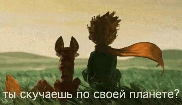 Прикольные и просто красивые картинки 04.12.2024
