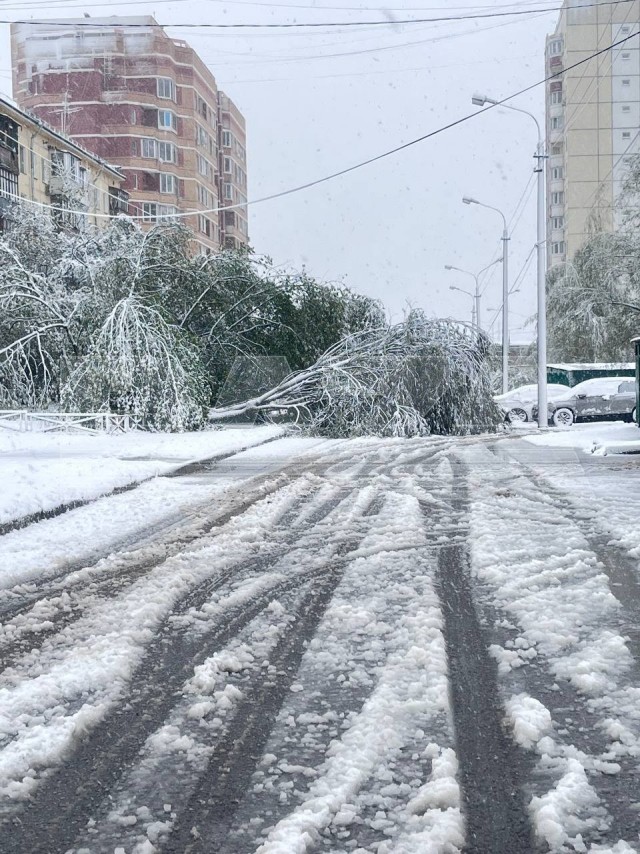 Привет Май!