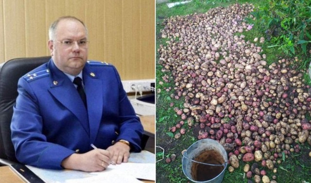 Нарочно не придумаешь