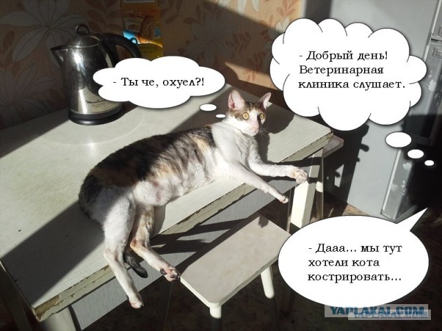 Шкаф (перезагрузка)