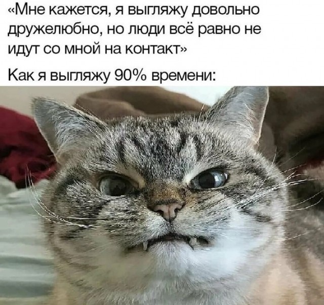Картинки для деградации 27 (разной степени свежести)