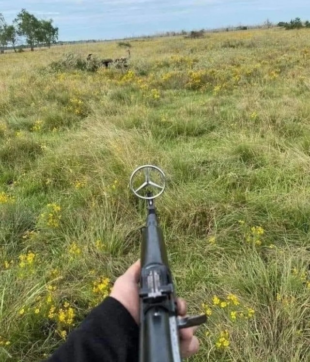Пост с картинками.