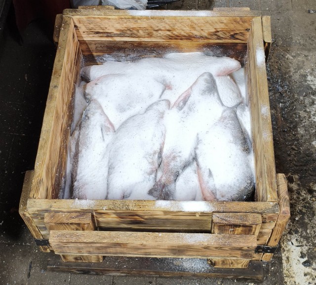 Рыбалка на реке Березина. Беларусь