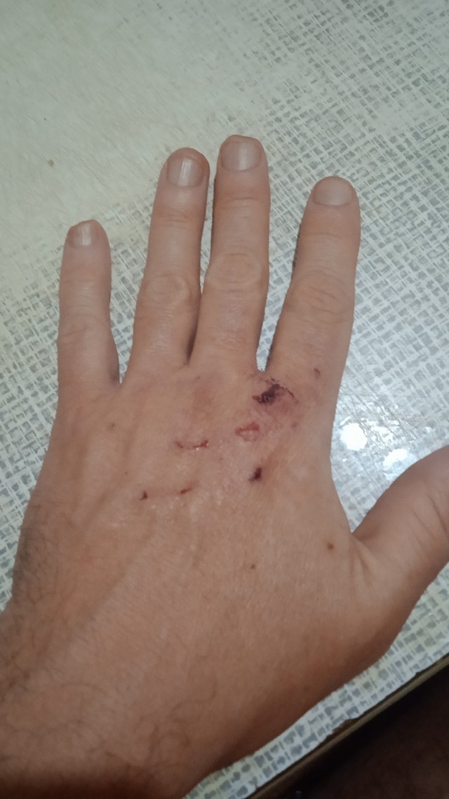 Воспитание