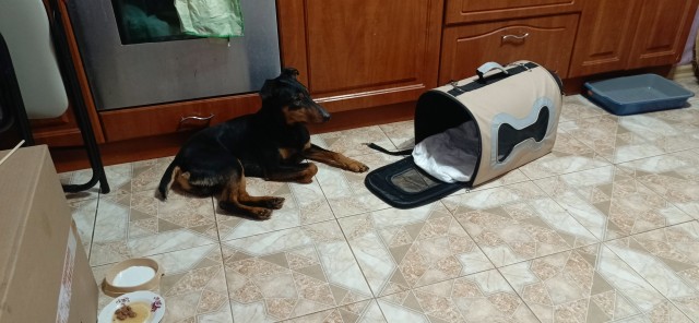 Нашелся таки хозяин (точнее хозяйка)