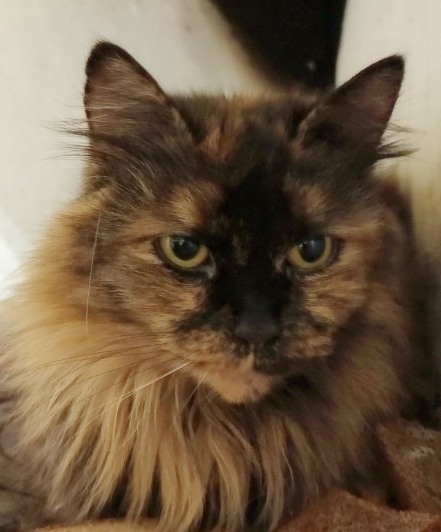 В изумлении