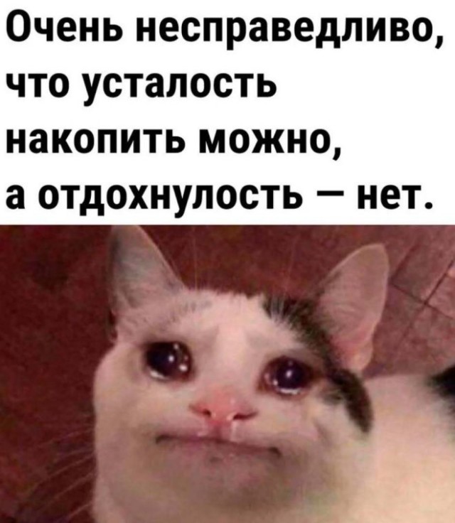Картиночки, баянчики 14 марта