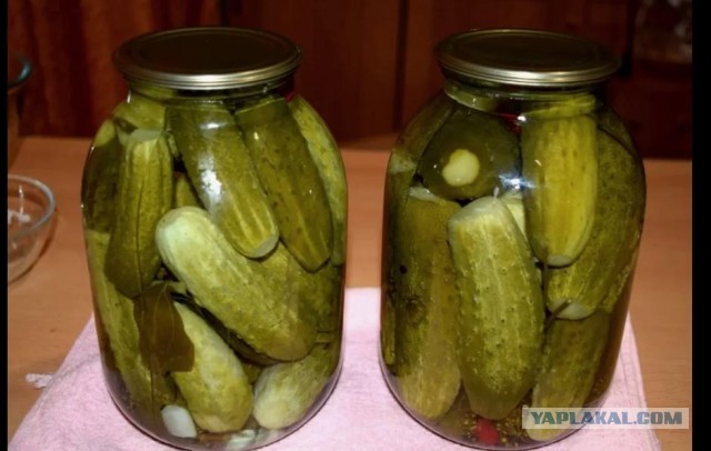 А как у вас цены на огурцы ?