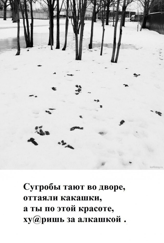 Картинки для деградации 168 (разной степени свежести)