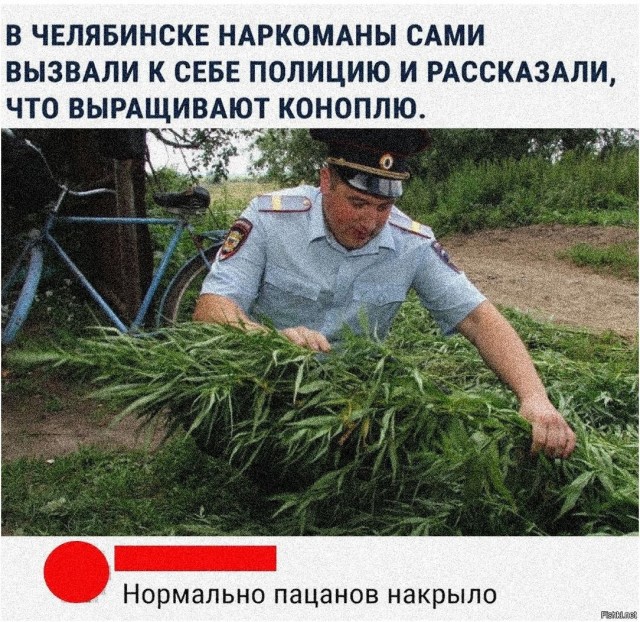 По Марксом местный житель хранил у себя более 2 кг марихуаны