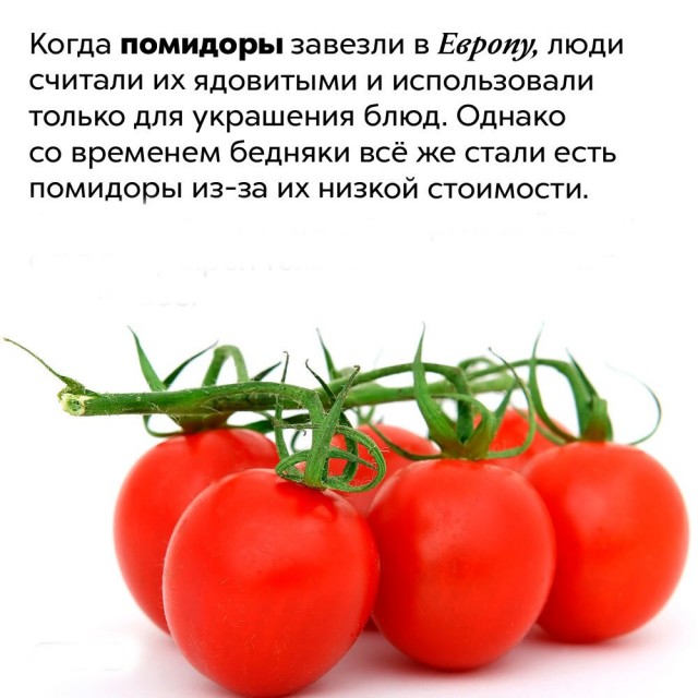 Про томатную пасту (последствия частого употребления)