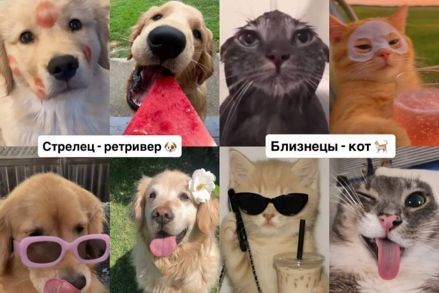 Настоящий российский астролог подобрал каждому знаку зодиака своё тотемное животное