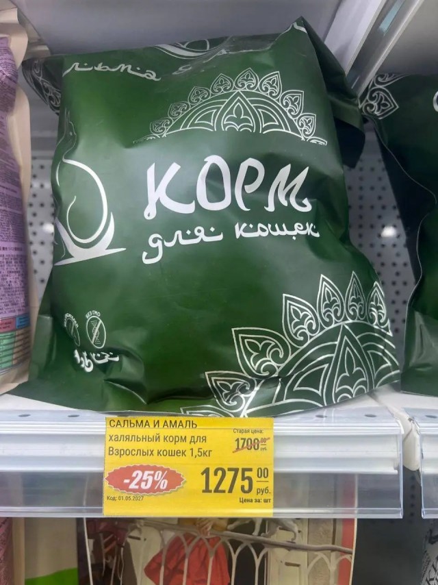 *БАЯН*Докатились и до Котиков