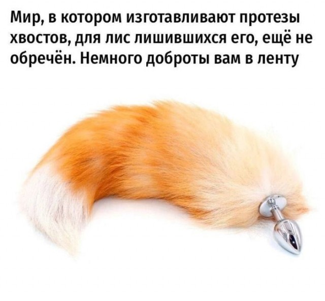 Картинки для деградации 249 (разной степени свежести)