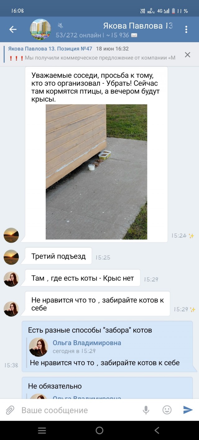 Коты