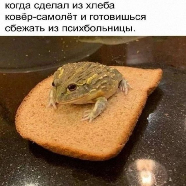 Картинки для деградации 293 (разной степени свежести)