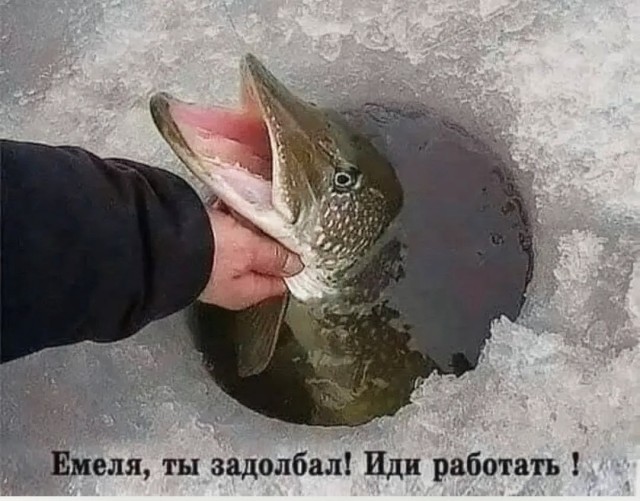 Так себе картинки 22.10.26