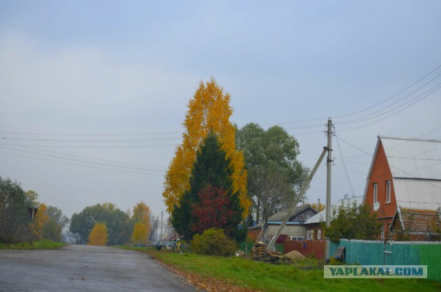 Осень или удачный ракурс.