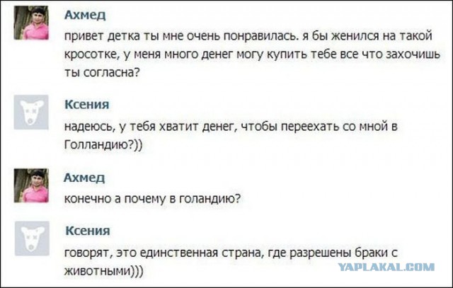 Приколы и маразмы