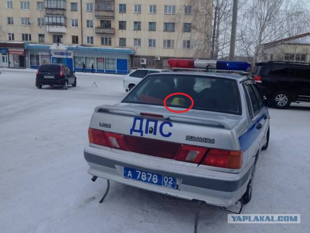 Подборка забавных фотографий
