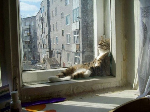 Очень удобное место и поза