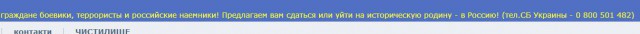 СБУ объявила в розыск певицу Юлию Чичерину