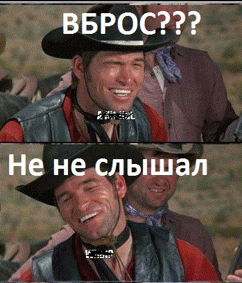 Веб-камеры на избирательных участках