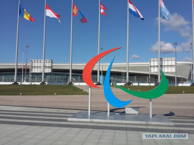 Олимпийские объекты в СОЧИ (год спустя)
