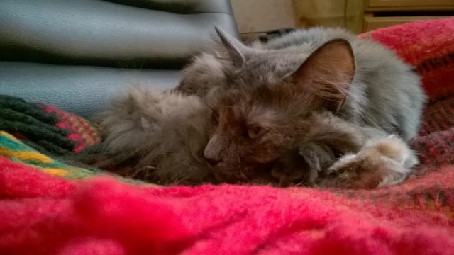 Про Тучку, которая стала Дымкой