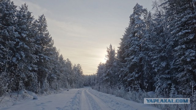 10 самых красивых дорог России