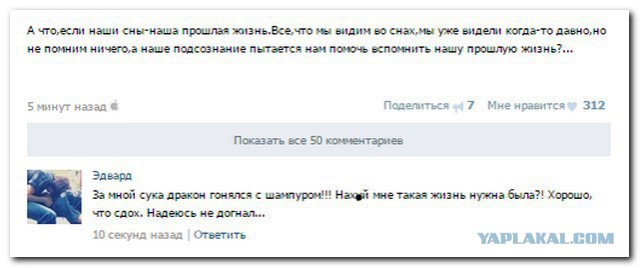 Смешные комментарии из социальных сетей