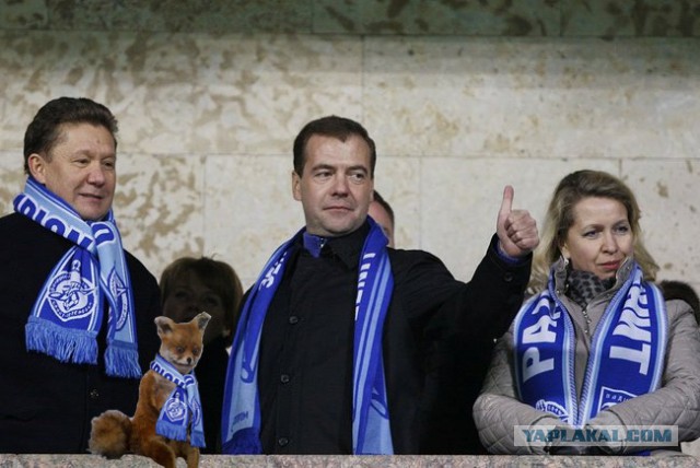 Разные картинки