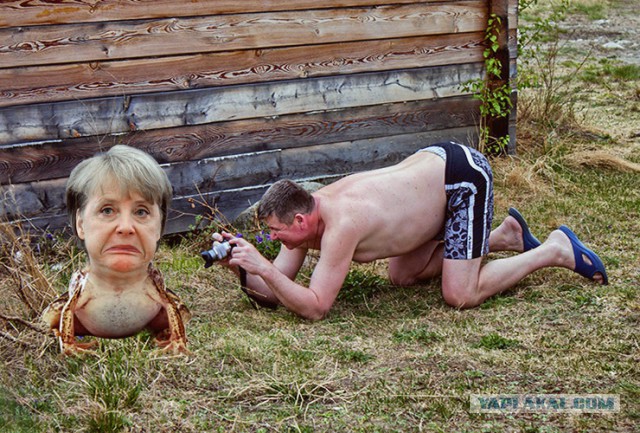 Жаба: Фотолюбитель