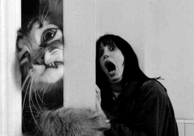 "Толика - не впускать!"