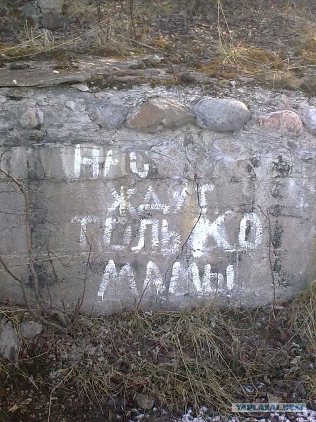 Ваенга - так до 1951 года назывался Североморск.