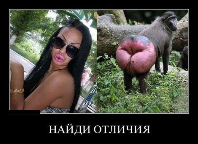 Нужен ответ