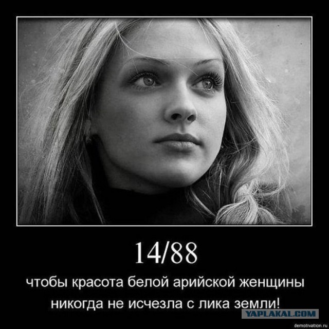 Этот ВЗГЛЯД!