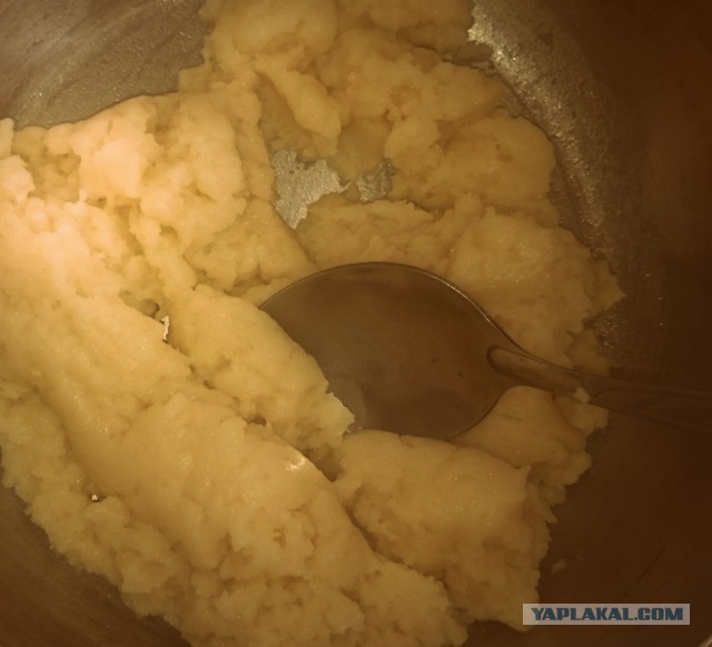 Фастфуд-пикник на день рождения ЯПа