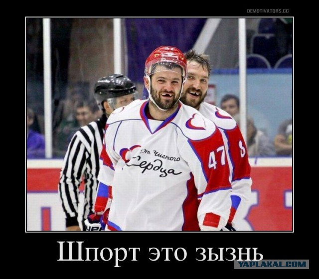 Што шмотришь? Ну жамяло бумагу шушуть...