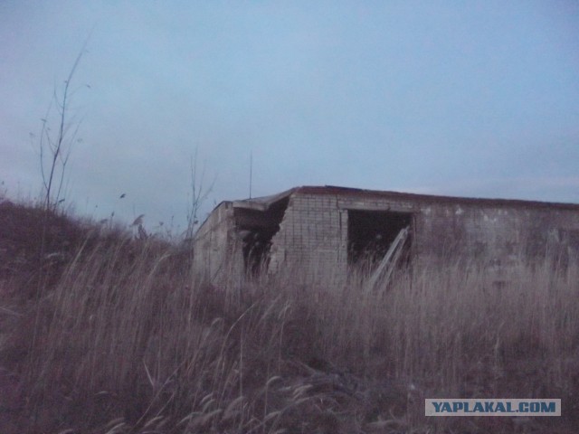 Дальневосточный гектар.  3-я  попытка.