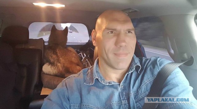 И вот стоило вылезать?
