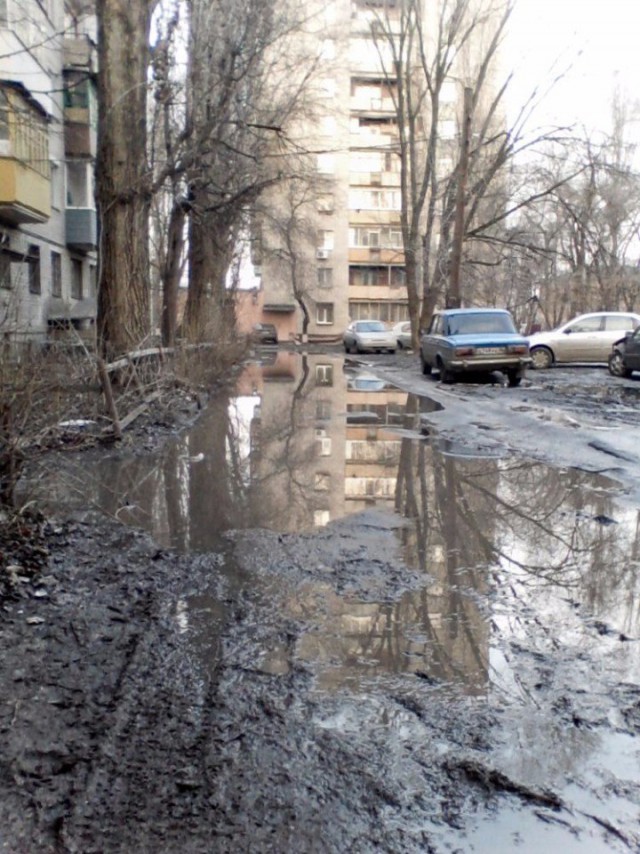 Подборка безудержного веселья