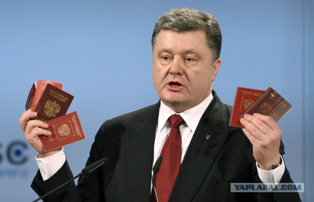 Что означает цвет твоего паспорта