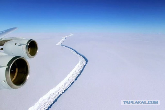 Ледник Ларсена почти превратился в айсберг