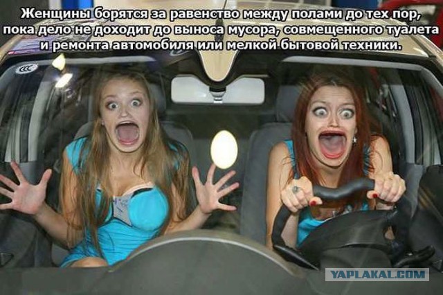 Жена учится сдавать на права...