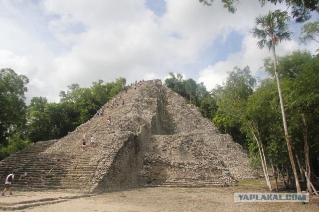 Ученые нашли в Гватемале более 60 тысяч построек цивилизации майя